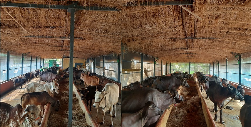 YASHWANT AGRO FARMS LLP